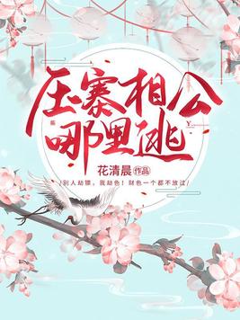 压寨相公by炎璃