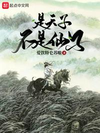 新教师教学规划