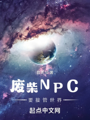 废柴npc要接管世界txt