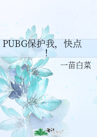 PUBG保护我,快点！