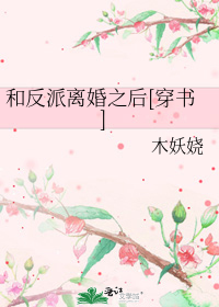 和反派离婚之后[穿书