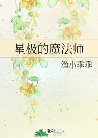 星极的魔法师晋江