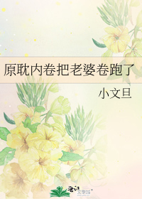 《原耽内卷把老婆卷跑了》 作者:小文旦