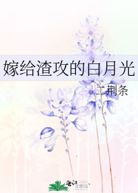 嫁给渣攻白月光全本免费