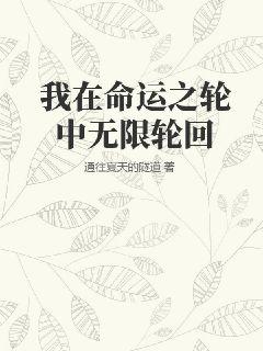 我在命运之轮中无限轮回小说