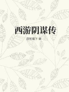 西游阴谋完整版