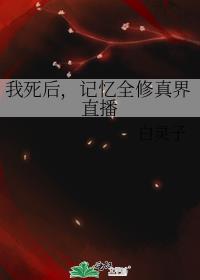 当气运之女死后 白灵子