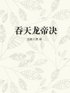 吞天龙帝易轩