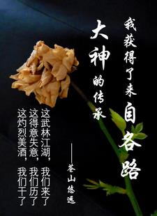 我获得了各路大神的传承作文