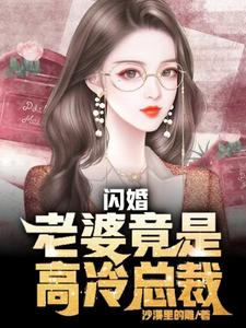 闪婚总裁太高冷