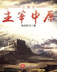 三国之主宰中原无错版