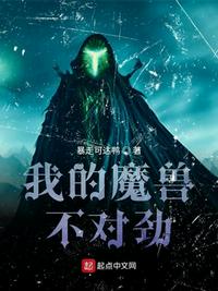 我的魔兽不对劲无防盗