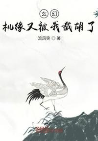 机缘巧合小说免费阅读